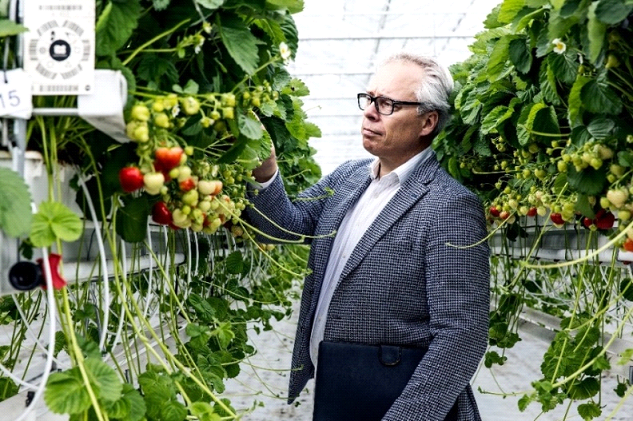 Henny Biemans, risk expert greenhouse horticulture
