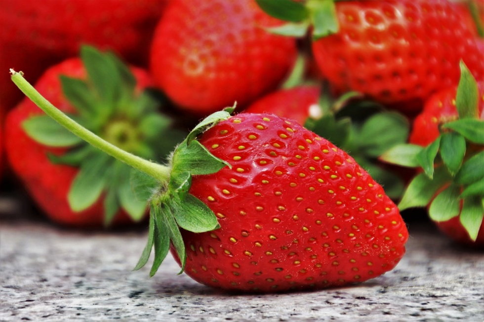 Vegetable and Fruit News-October 2023