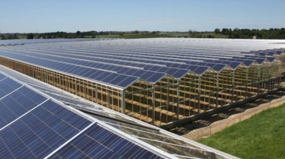 zonnepanelen glastuinbouw